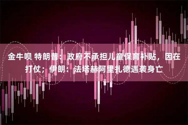 金牛呗 特朗普：政府不承担儿童保育补贴，因在打仗；伊朗：法塔赫阿里扎德遇袭身亡