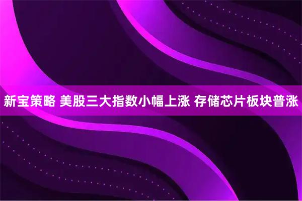 新宝策略 美股三大指数小幅上涨 存储芯片板块普涨