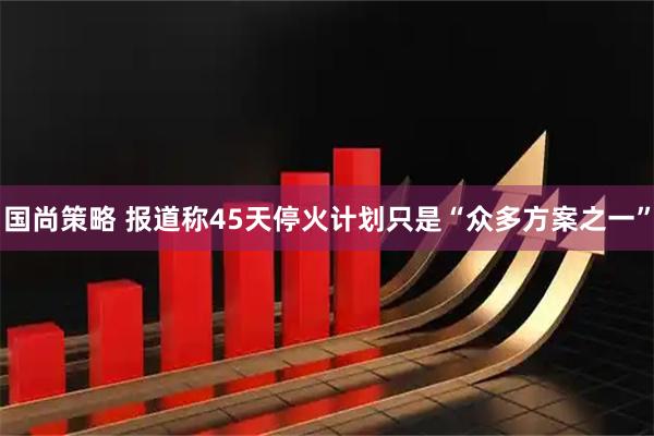 国尚策略 报道称45天停火计划只是“众多方案之一”